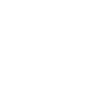 Key Icon
